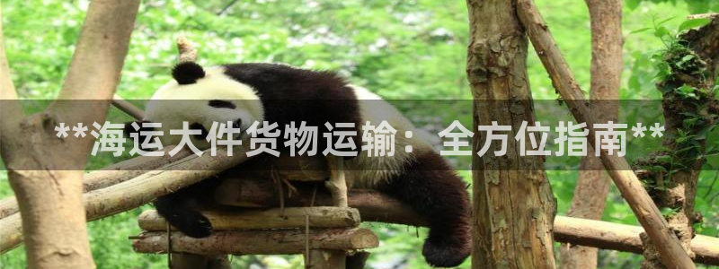 欢迎来到公海堵船