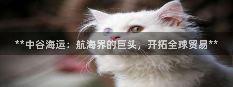 公海赌赌船官网jc7