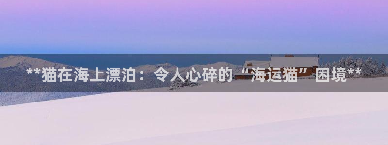 公海赌船贴吧