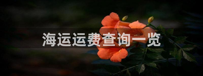 欢迎您来到公海