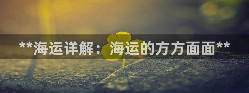 公海赌船吧