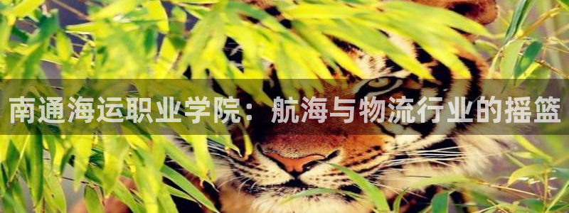 公海赌赌船官网710忘记账号了