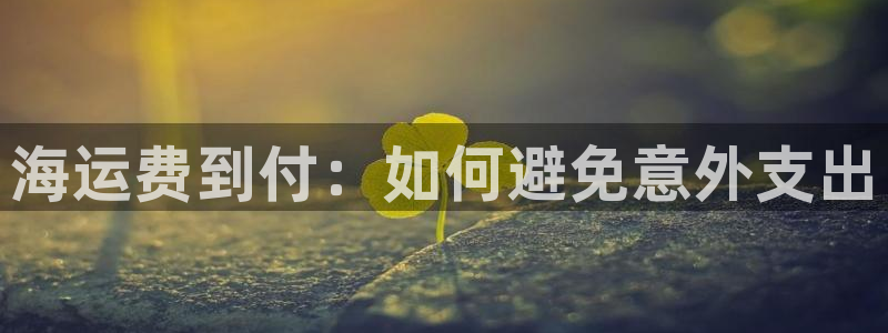 公海赌钱犯法吗