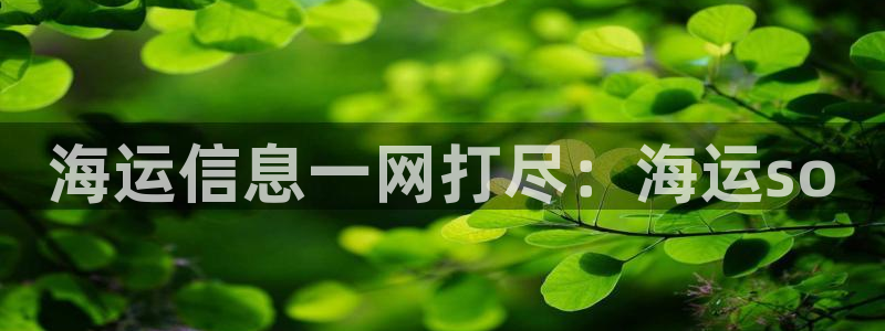 公海赌船吧