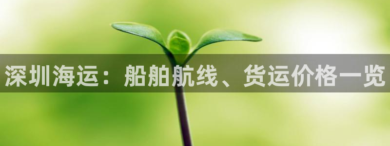 公海船赌网站是多少