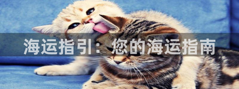 公海赌博是什么意思