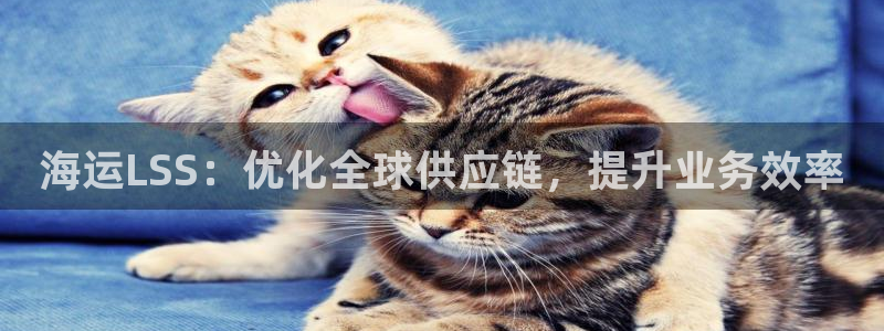 公海 赌船710手机版下载官方