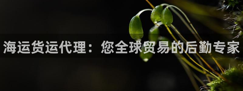 公海赌船官方