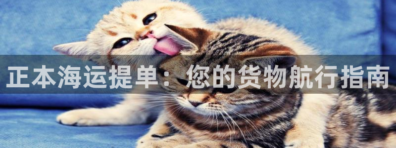 欢迎你来到 公主的海岛