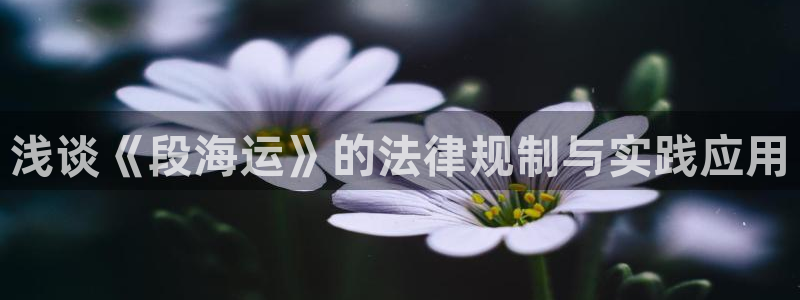 欢迎上船