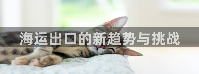 公海赌船贴吧