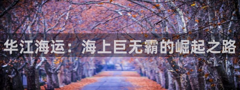 公海赌赌船官网