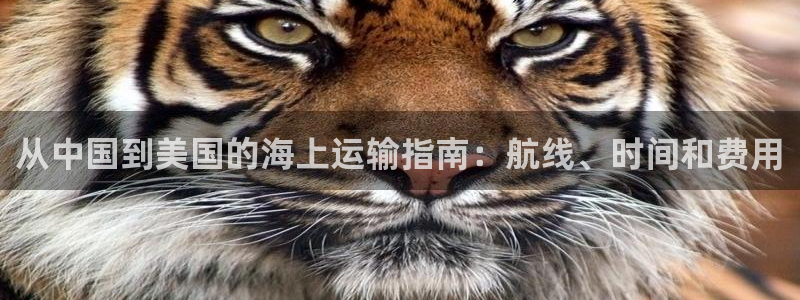 欢迎来到赌船公海710