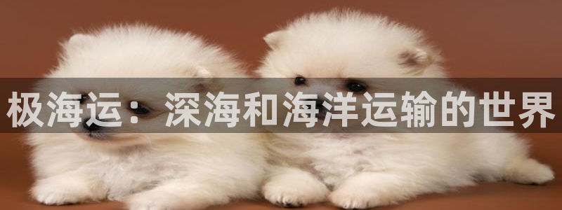 公海赌赌船官网真的吗
