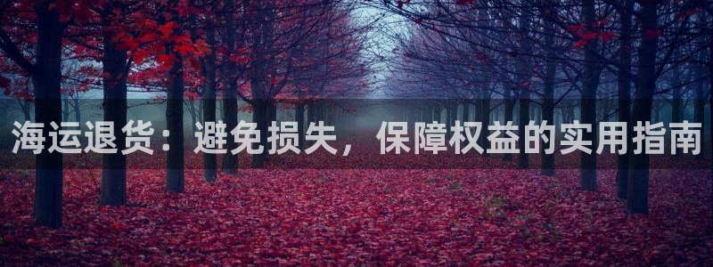 欢迎你来到公主的海岛