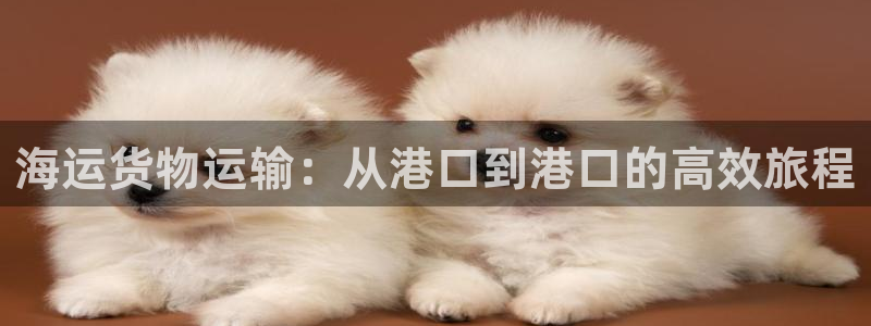公海赌博犯法吗