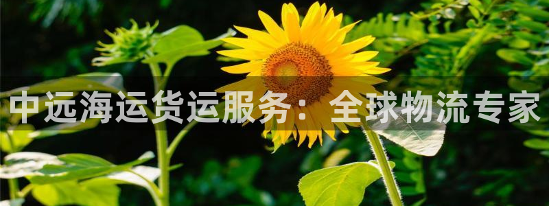 公海赌赌船利息宝是真的吗