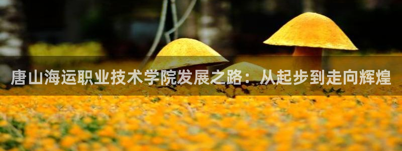 欢迎来公海欢迎来到赌船