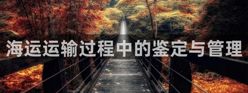 公海 赌船710手机版下载