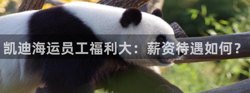 公海赌赌船官网图标