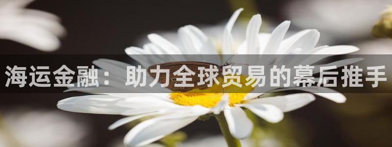 欢迎登船