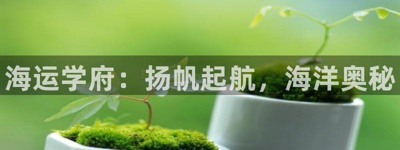 欢迎你来到 公主的海岛