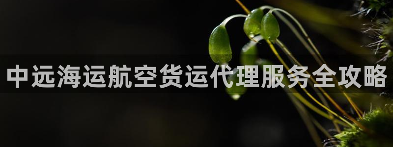 公海赌钱犯法吗