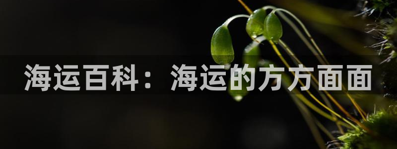 公海赌博为什么没人管