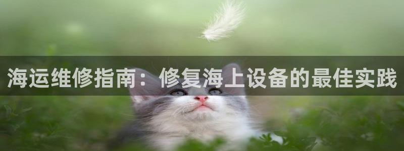 公海赌赌船官网介绍人