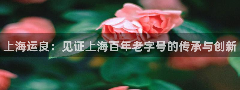 公海赌博犯法吗