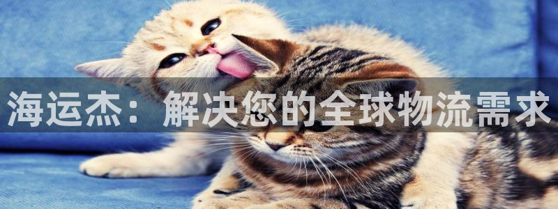 欢迎你来到公主的海岛